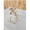 Image 10 : 2 Sets Of Locked Whitetail Antlers On Skull Plates