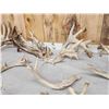 Image 4 : 25.2 Lbs Of Whitetail Cut Off Antlers