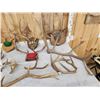 Image 2 : Miscellaneous Antlers Lot