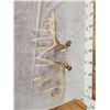 Image 4 : Set Of 6x8 Whitetail Shed Antlers
