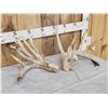 Image 2 : Big Gnarly Nontypical Whitetail Shed Antlers
