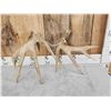Image 5 : 3 Big Sets Of Whitetail Shed Antlers