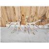Image 8 : 3 Big Sets Of Whitetail Shed Antlers