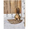 Image 1 : Red Squirrel Full Body Taxidermy Mount