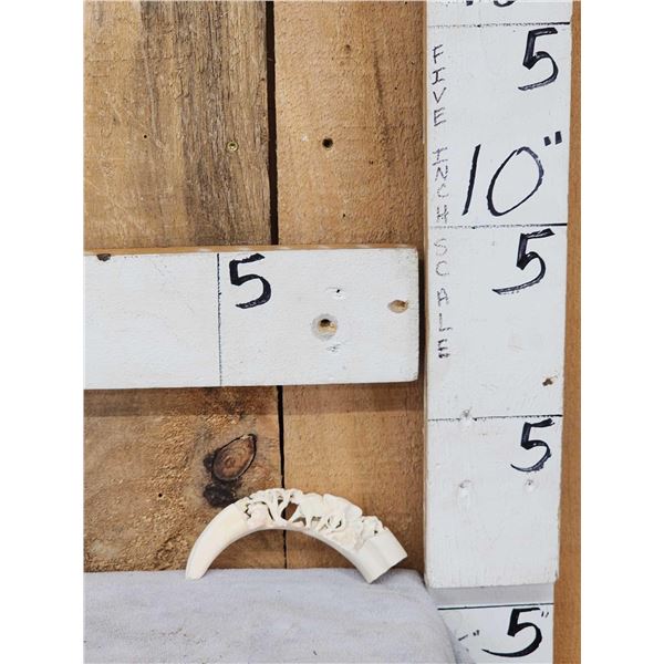 Hand Carved African Warthog Tusk