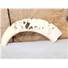 Image 2 : Hand Carved African Warthog Tusk