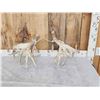 Image 5 : HEAVY Mass 242" Whitetail Shed Antlers