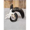 Image 6 : Big 4 Horn Jacob's Shed Skull Taxidermy