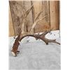 Image 2 : Awesome 223" Whitetail Shed Antlers