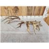 Image 5 : Awesome 223" Whitetail Shed Antlers