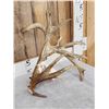 Image 2 : 110" Whitetail Shed Antler