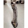 Image 11 : Alaskan Lynx Catching A Pine Marten Full Body Taxidermy Mount
