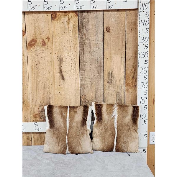 Pair Of African Springbok Skin Pillows Taxidermy