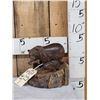 Image 1 : Hand Carved Grizzly Bear & Cubs