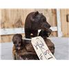 Image 5 : Hand Carved Grizzly Bear & Cubs