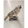 Image 10 : Howling Coyote Full Body Taxidermy Mount