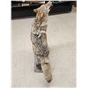 Image 11 : Howling Coyote Full Body Taxidermy Mount