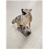 Image 8 : Howling Coyote Full Body Taxidermy Mount