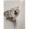 Image 9 : Howling Coyote Full Body Taxidermy Mount