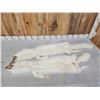 Image 5 : 2 Gorgeous White Ranch Fox Soft Tanned Furs