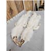 Image 6 : 2 Gorgeous White Ranch Fox Soft Tanned Furs