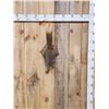 Image 1 : Red Squirrel Full Body Taxidermy Mount