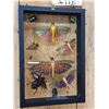 Image 2 : Frame Of 10 Exotic Insects Taxidermy