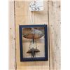 Image 1 : Giant Peruvian Grasshopper & Beetle In Glass Frame