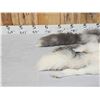 Image 2 : 2 Beautiful Ranch Fox Soft Tanned Furs Taxidermy