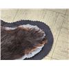 Image 10 : Black Bear Rug Taxidermy