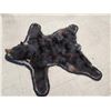Image 2 : Black Bear Rug Taxidermy