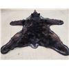 Image 3 : Black Bear Rug Taxidermy
