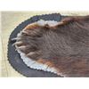 Image 5 : Black Bear Rug Taxidermy