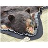 Image 6 : Black Bear Rug Taxidermy