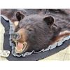 Image 7 : Black Bear Rug Taxidermy