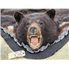Image 8 : Black Bear Rug Taxidermy