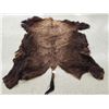 Image 1 : Giant American Bison Buffalo Soft Tanned Robe Taxidermy