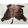 Image 2 : Giant American Bison Buffalo Soft Tanned Robe Taxidermy