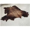 Image 4 : Giant American Bison Buffalo Soft Tanned Robe Taxidermy