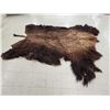 Image 5 : Giant American Bison Buffalo Soft Tanned Robe Taxidermy
