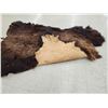 Image 6 : Giant American Bison Buffalo Soft Tanned Robe Taxidermy