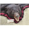 Image 10 : Black Bear Rug Taxidermy