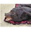 Image 11 : Black Bear Rug Taxidermy