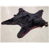 Image 2 : Black Bear Rug Taxidermy
