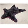 Image 3 : Black Bear Rug Taxidermy