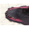 Image 6 : Black Bear Rug Taxidermy