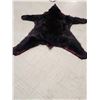 Image 8 : Black Bear Rug Taxidermy