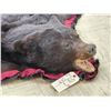 Image 9 : Black Bear Rug Taxidermy