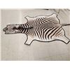 Image 2 : Zebra Rug Taxidermy