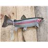 Image 3 : 17" Rainbow Trout Real Skin Fish Taxidermy